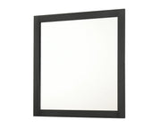 Nemy Dresser Mirror