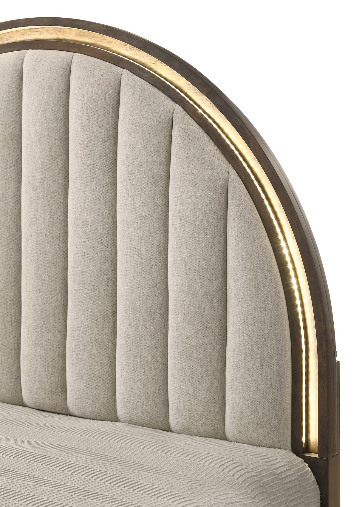 Noreen Upholstered Arched Panel Bed