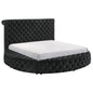 Brig Storage Bed