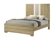 Rangley Driftwood Panel Bed with LED Headboard Lighting